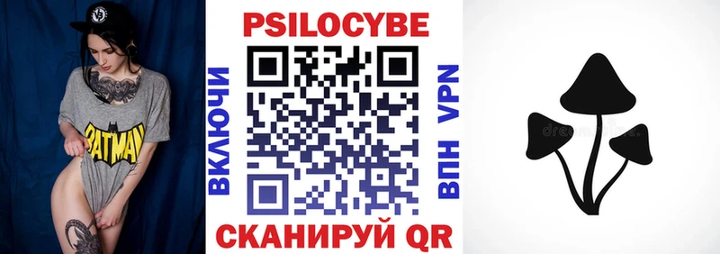 мега как зайти  купить наркотик  Ессентукская  Псилоцибиновые грибы прущие грибы 