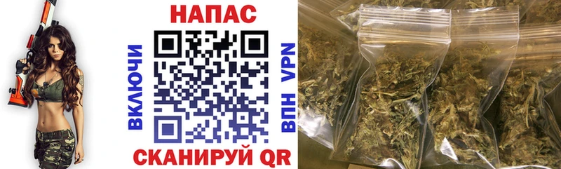 продажа наркотиков  OMG сайт  Каннабис планчик  Ессентукская 